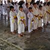 ciyutt17