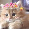 usermyo.kyaw2292