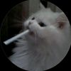 shh_secret62