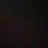 tamara.mohamad1