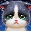mairaejjmp7