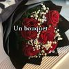 mrme.djello.jallo