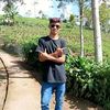dandi01306