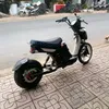 nhutannn6