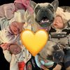 .winnie_the_pooh_nursery
