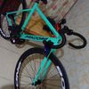 alghi20138