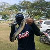 kesatria_keboncosan