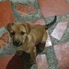 samuelesteban_66