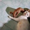 putra4ulu