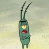 plankton3003