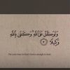 lsmail969