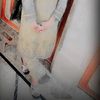 meeruqueen211