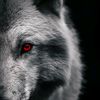 sgrov_057