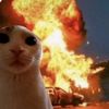memew_kucing8