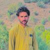 nasir.khan9692