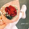 aiselmohammed67