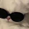 praew.lovecat