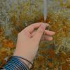 muskan.official13