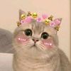 nay.calista