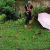 sarahsantiago298