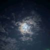 dhawa_727