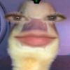 roblox_aja62