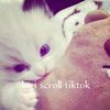 tim_qiyowo7