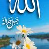 user9869511057441