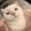 ms_alex31