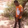 ali.22636