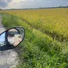 ngochuyen9201