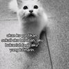nazril8777
