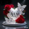 yunis8504