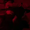 leraa862