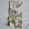 _sapaa0306