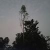 xanzz.ziv