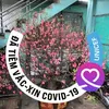 user761747260522