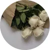 user122032271