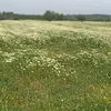 houdalbtira