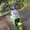 adid.teanor