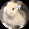 nmplko