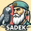 difel_sadek