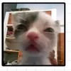 vinegar_ftap