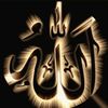 user90760744034974