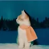 lelexsemamor