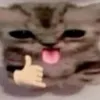 max.flopduro