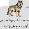 hamza.hamza..seli