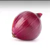 i_onion