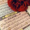 user6134351854617