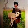 ruhail.ahmad7